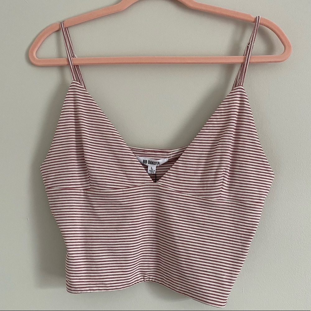 BB Dakota Striped Crop Top